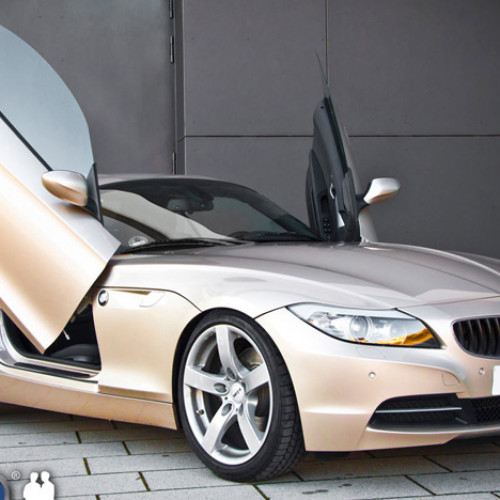 Mercedes Carlsson 2021