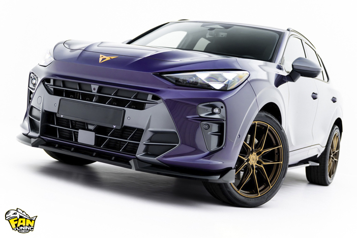 Аэродинамический обвес на Купру Террамар (Cupra Terramar)