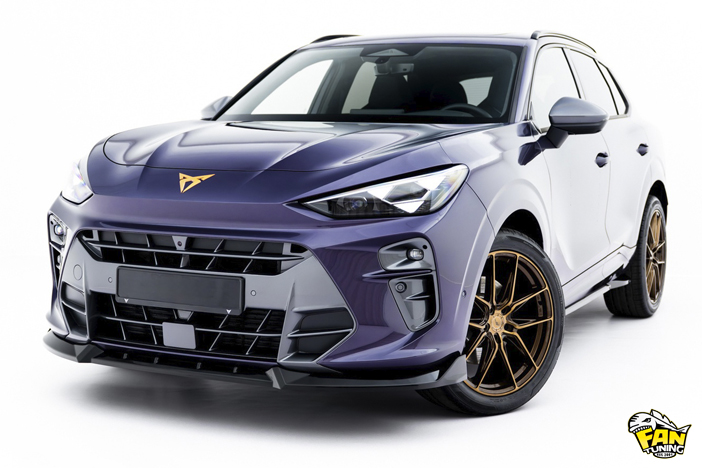 Аэродинамический обвес на Купру Террамар (Cupra Terramar)