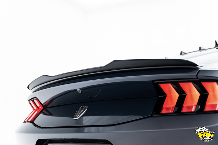 Аэродинамический обвес на Форд Мустанг (Ford Mustang) Dark Horse 2024 модельного года