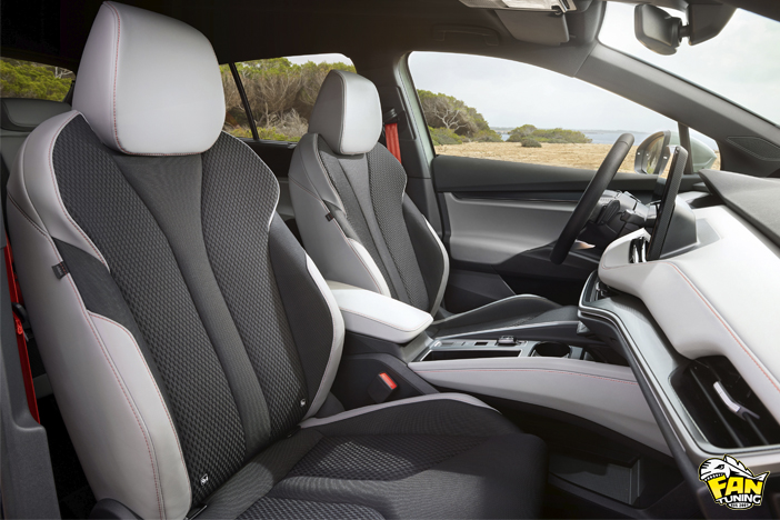 Двухцветный дизайн пошива салона