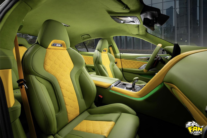 Двухцветный дизайн пошива салона