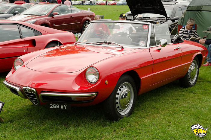 Кабриолетный тент и ковровое покрытие на Альфа Ромео (Alfa Romeo) 1300-1750 Rundheck 1966-1971