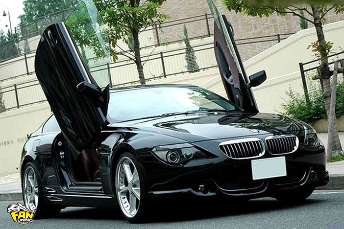 Ламбо двери LSD (Lambo Style Doors) для БМВ (BMW) E63/E64