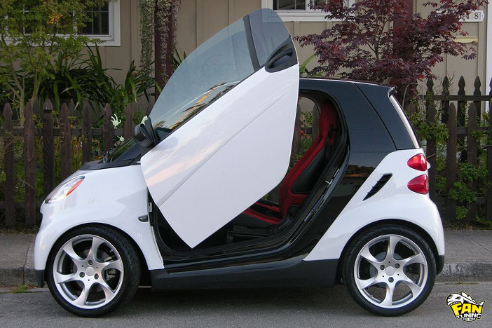 Ламбо двери LSD (Lambo Style Doors) для Смарт (Smart) ForTwo