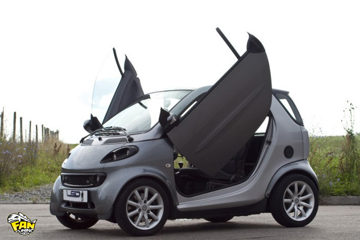 Ламбо двери LSD (Lambo Style Doors) для Смарт (Smart) ForTwo