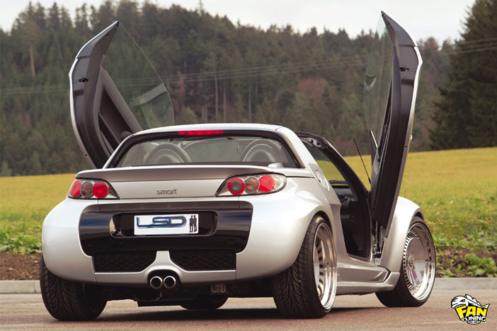 Ламбо двери LSD (Lambo Style Doors) для Смарт (Smart) Roadster