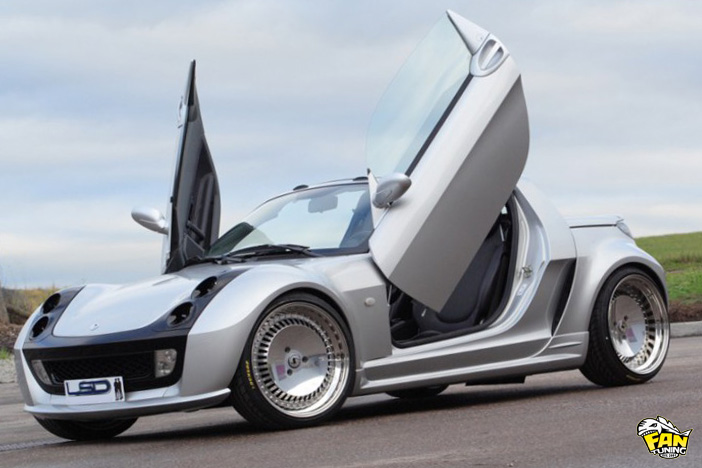 Ламбо двери LSD (Lambo Style Doors) для Смарт (Smart) Roadster