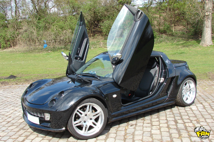 Ламбо двери LSD (Lambo Style Doors) для Смарт (Smart) Roadster