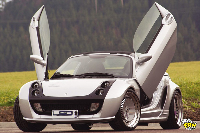 Ламбо двери LSD (Lambo Style Doors) для Смарт (Smart) Roadster