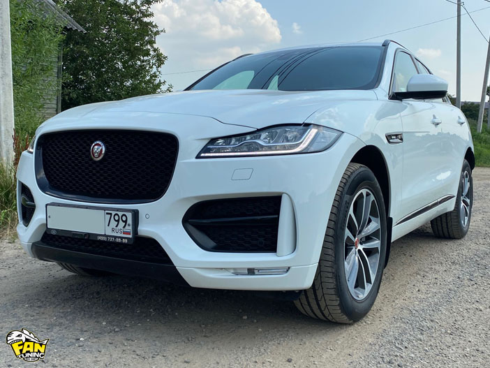 Шумоизоляция (шумовиброизоляция) Ягуара (Jaguar) F-Pace